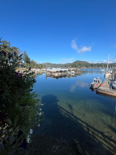 Ruhiger Hafen mit Booten, klarem Wasser und blauer Himmel im Hintergrund.