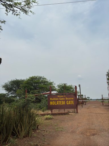 Trockener Weg mit einem Eingangsschild zu "Bulawayo Game Reserve" im Hintergrund.