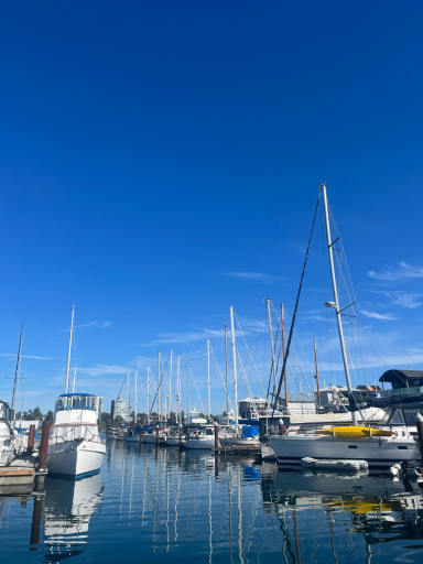Hafen mit Yachten und Segelbooten, klarer blauer Himmel und ruhiges Wasser.