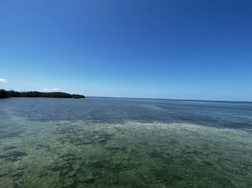 Ruhiges, klares Wasser unter strahlend blauem Himmel, grüne Ufer im Hintergrund.