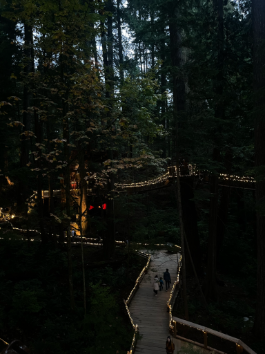 Ein schmaler Weg führt durch einen bewaldeten Park, beleuchtet von warmem Licht.