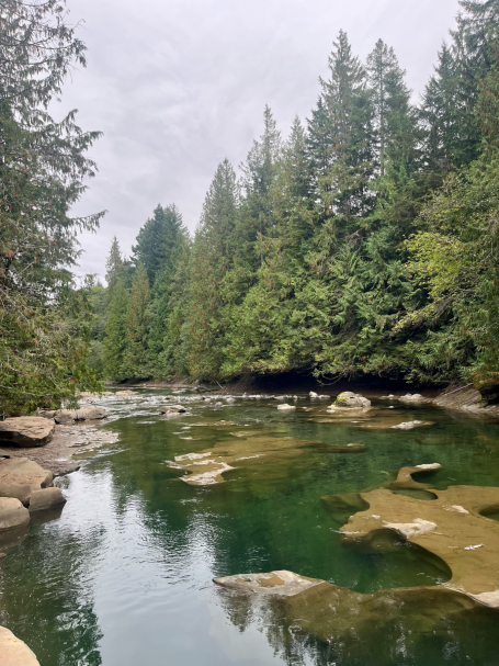 Ein ruhiger Fluss umgeben von hohen, grünen Bäumen und Felsen.
