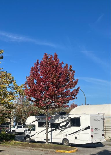 Ein Wohnmobil neben einem bunten Herbstbaum vor klarem blauen Himmel.