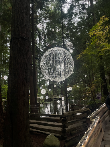 Leuchtende Kugel zwischen Bäumen im Wald, umgeben von sanftem Licht.