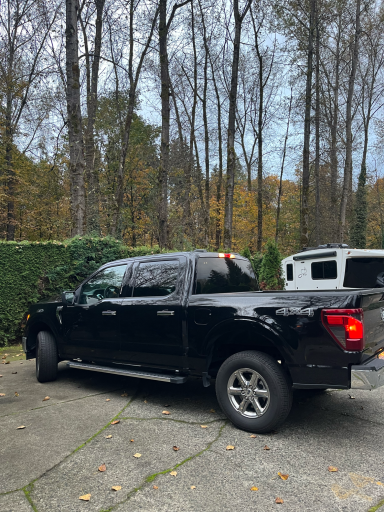 Schwarzer Pickup-Truck parkt auf einem Grundstück umgeben von Bäumen.