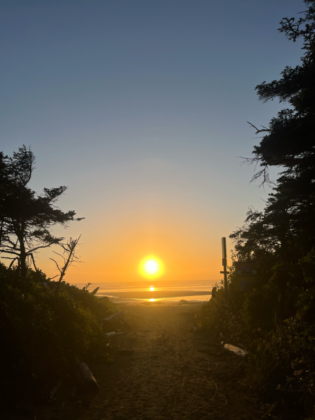 Sonnenuntergang über dem Meer, umgeben von Bäumen und einem schmalen Weg.