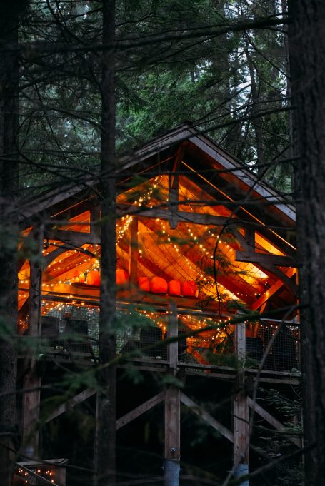 Hütte in einem Wald mit warmem Licht, umgeben von hohen Bäumen.
