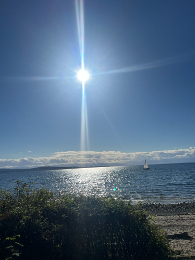 Helle Sonne über ruhigem Wasser, mit Boot im Hintergrund und gelegentlichem Bewuchs im Vordergrund.