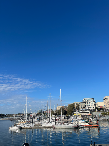 Hafen mit Segelbooten und klarem blauen Himmel.
