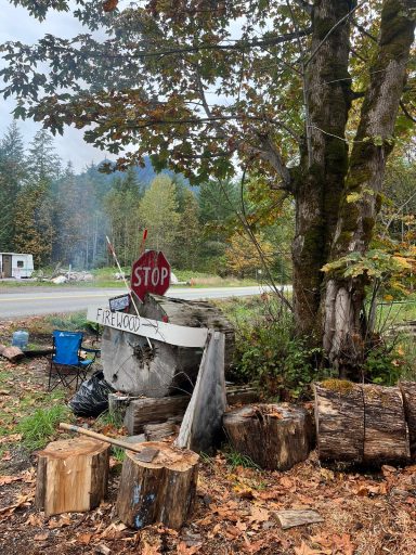 Ein Stoppschild neben einem hölzernen Unterstand und gestapeltem Holz in der Natur.