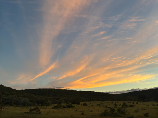 Blick auf eine weite Landschaft bei Sonnenuntergang mit bunten Wolken am Himmel.
