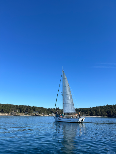 Ein Segelboot auf ruhigem Wasser unter klarem blauen Himmel.
