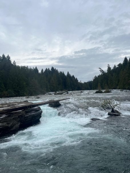 Fluss mit schäumendem Wasser, umgeben von Bäumen und Felsen unter einem bewölkten Himmel.