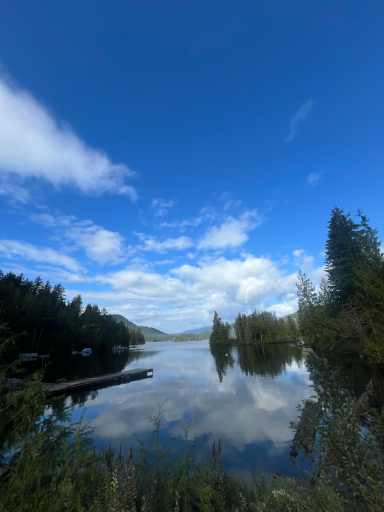 Blick auf einen ruhigen See mit Wald und blauem Himmel, reflektierende Wolken.
