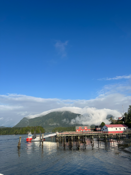 Blick auf einen Hafen mit Booten, roten Häusern und Bergen im Hintergrund unter blauem Himmel.